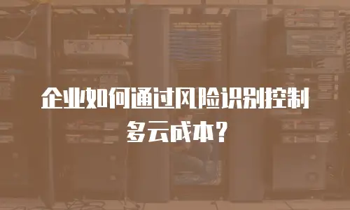 企业如何通过风险识别控制多云成本？