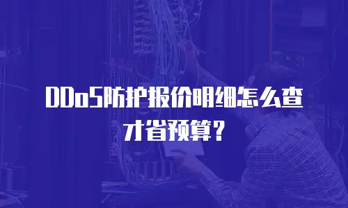 DDoS防护报价明细怎么查才省预算？