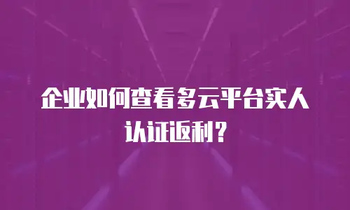 企业如何查看多云平台实人认证返利？