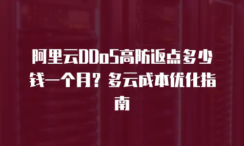 阿里云DDoS高防返点多少钱一个月？多云成本优化指南