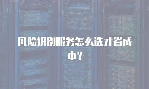 风险识别服务怎么选才省成本？
