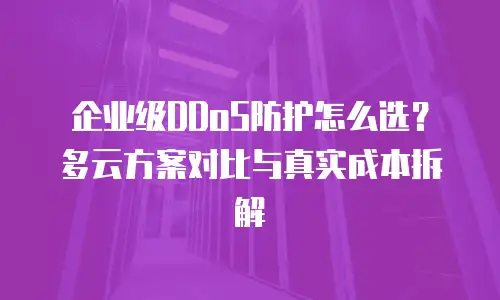 企业级DDoS防护怎么选？多云方案对比与真实成本拆解