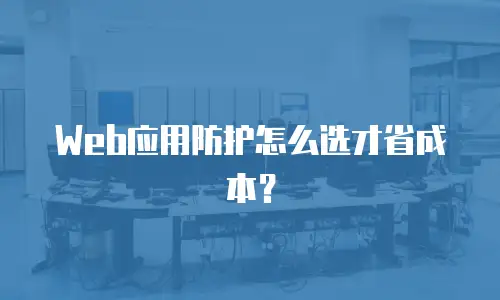 Web应用防护怎么选才省成本？