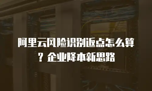 阿里云风险识别返点怎么算？企业降本新思路