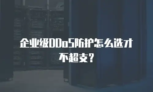 企业级DDoS防护怎么选才不超支？
