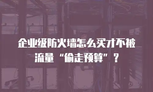 企业级防火墙怎么买才不被流量&ldquo;偷走预算&rdquo;？