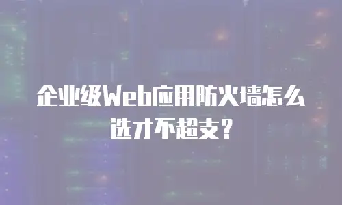 企业级Web应用防火墙怎么选才不超支？