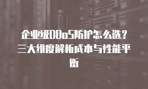 企业级DDoS防护怎么选？三大维度解析成本与性能平衡