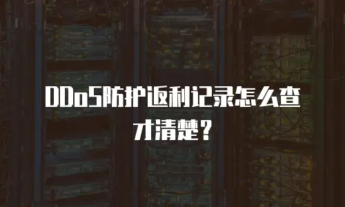 DDoS防护返利记录怎么查才清楚？