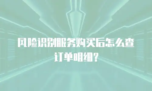 风险识别服务购买后怎么查订单明细？