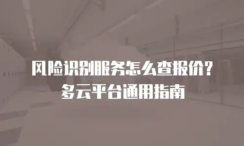 风险识别服务怎么查报价？多云平台通用指南