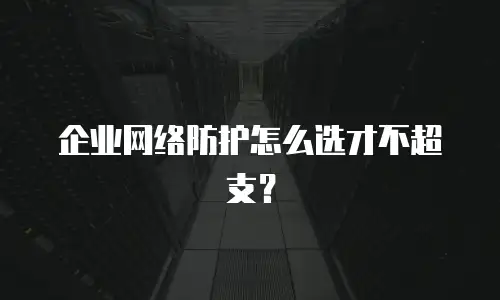 企业网络防护怎么选才不超支？