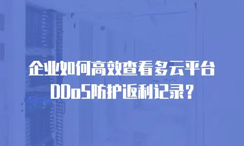 企业如何高效查看多云平台DDoS防护返利记录？