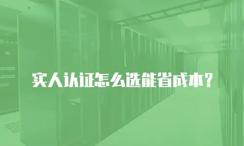 实人认证怎么选能省成本？