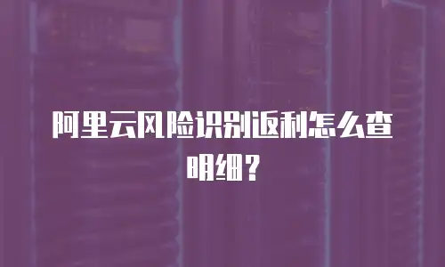 阿里云风险识别返利怎么查明细？