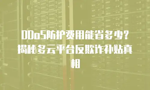 DDoS防护费用能省多少？揭秘多云平台反欺诈补贴真相