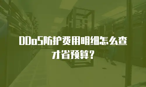 DDoS防护费用明细怎么查才省预算？