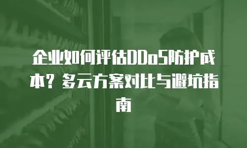 企业如何评估DDoS防护成本？多云方案对比与避坑指南