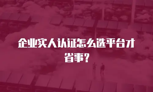企业实人认证怎么选平台才省事？