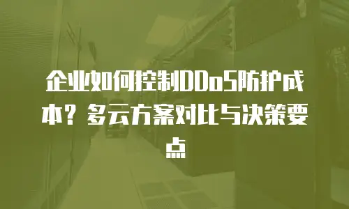 企业如何控制DDoS防护成本？多云方案对比与决策要点
