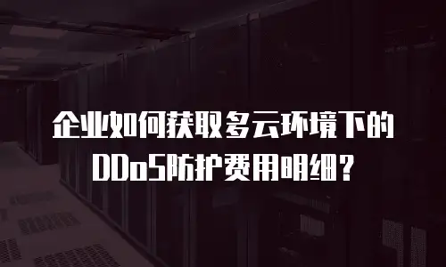 企业如何获取多云环境下的DDoS防护费用明细？