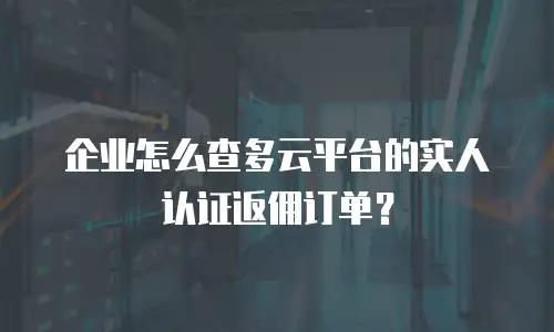 企业怎么查多云平台的实人认证返佣订单？