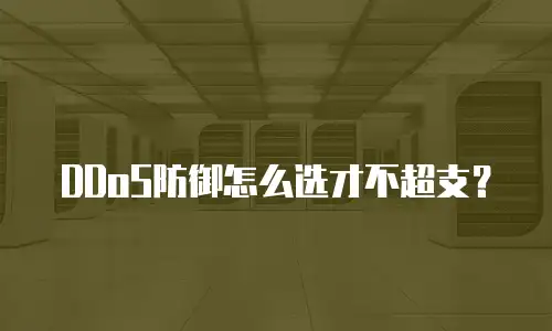 DDoS防御怎么选才不超支？