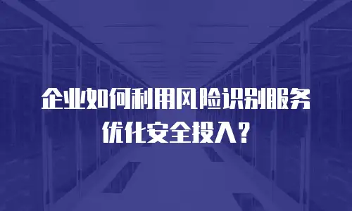企业如何利用风险识别服务优化安全投入？