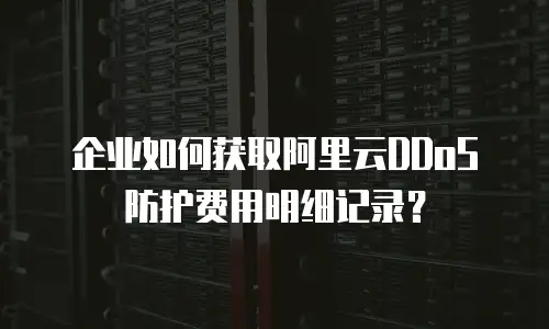 企业如何获取阿里云DDoS防护费用明细记录？