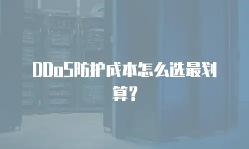 DDoS防护成本怎么选最划算？