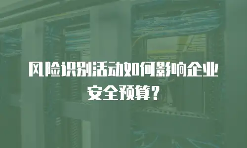 风险识别活动如何影响企业安全预算？