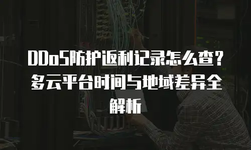 DDoS防护返利记录怎么查？多云平台时间与地域差异全解析