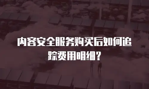内容安全服务购买后如何追踪费用明细？
