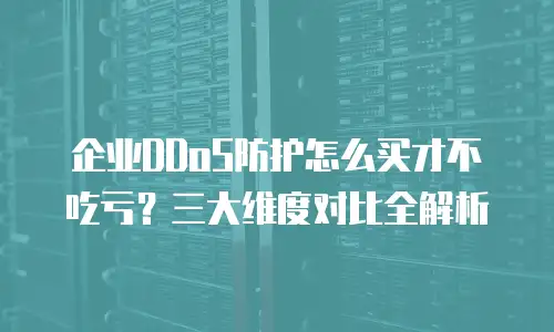 企业DDoS防护怎么买才不吃亏？三大维度对比全解析
