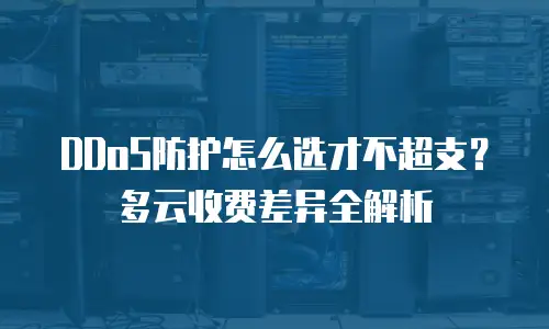 DDoS防护怎么选才不超支？多云收费差异全解析