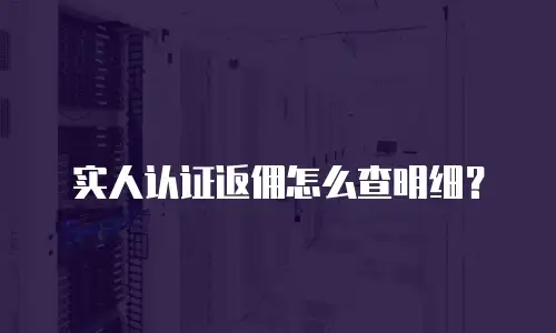 实人认证返佣怎么查明细？