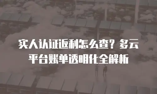 实人认证返利怎么查？多云平台账单透明化全解析