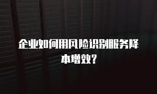 企业如何用风险识别服务降本增效？