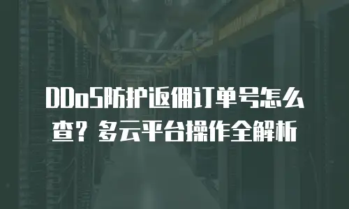 DDoS防护返佣订单号怎么查？多云平台操作全解析