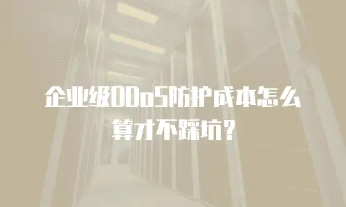 企业级DDoS防护成本怎么算才不踩坑？