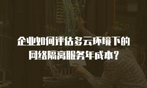 企业如何评估多云环境下的网络隔离服务年成本？