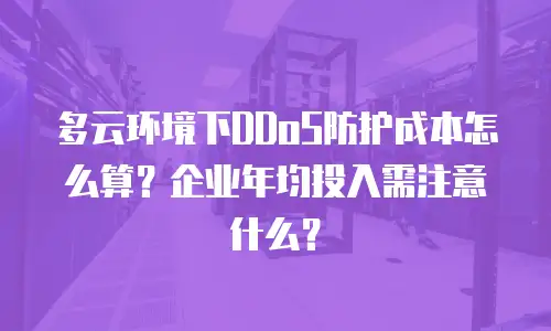 多云环境下DDoS防护成本怎么算？企业年均投入需注意什么？
