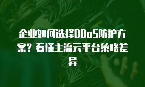 企业如何选择DDoS防护方案？看懂主流云平台策略差异