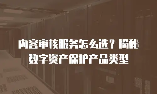 内容审核服务怎么选？揭秘数字资产保护产品类型