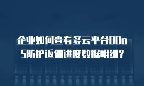企业如何查看多云平台DDoS防护返佣进度数据明细？