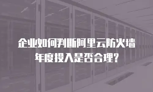 企业如何判断阿里云防火墙年度投入是否合理？