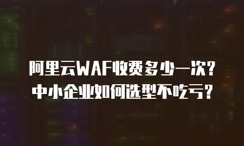 阿里云WAF收费多少一次？中小企业如何选型不吃亏？