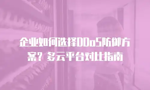 企业如何选择DDoS防御方案？多云平台对比指南