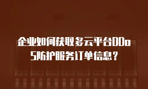 企业如何获取多云平台DDoS防护服务订单信息？