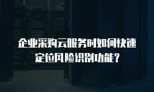 企业采购云服务时如何快速定位风险识别功能？
